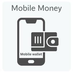 Send money online